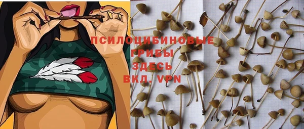 стаф Киреевск
