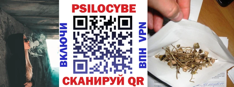 Купить  Ефремов  Галлюциногенные грибы MAGIC MUSHROOMS 